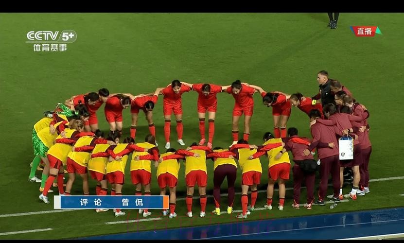 世界杯直播，实时领略巅峰对决的震撼时刻